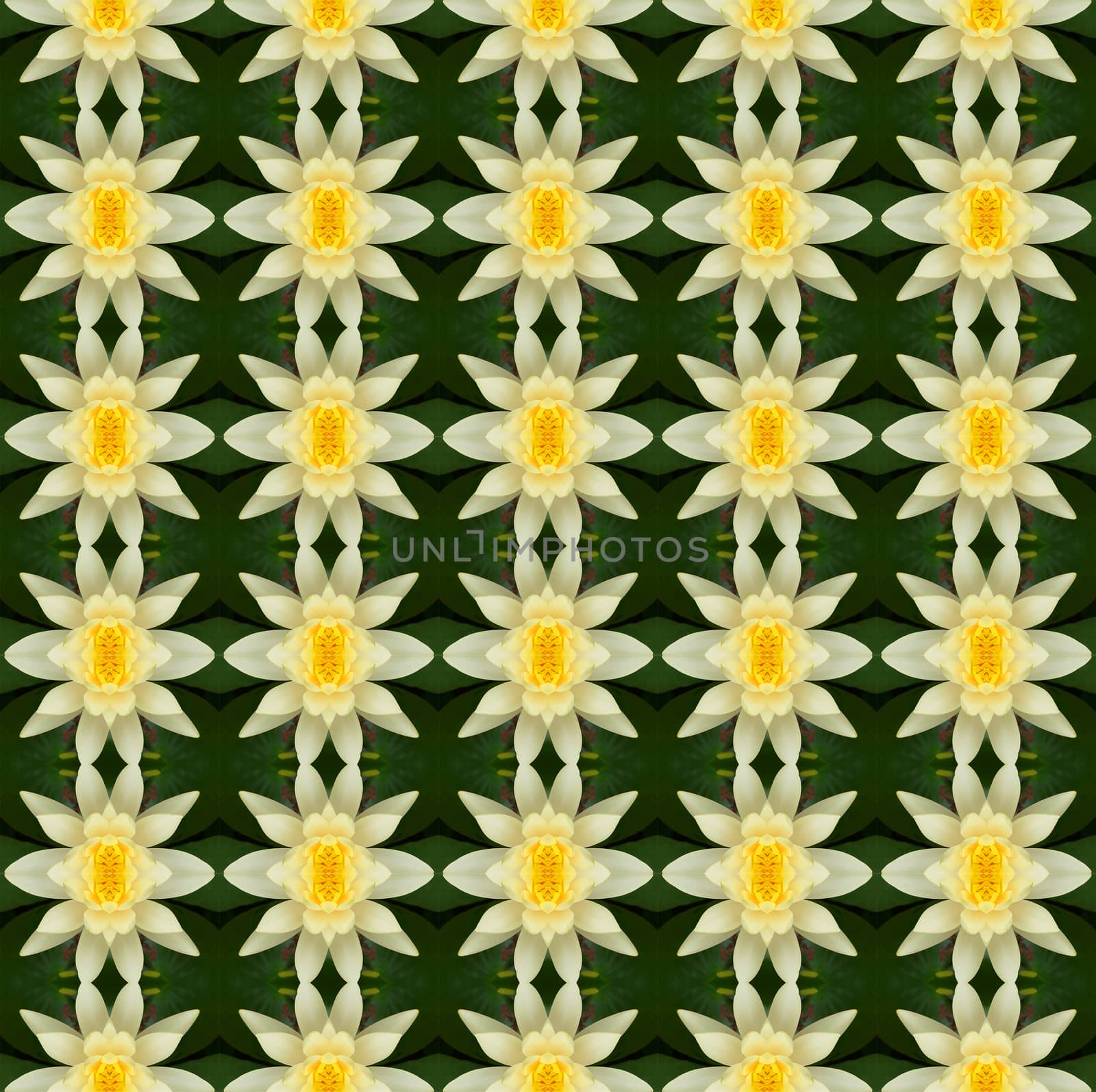 Yellow lotus in full bloom seamless use as pattern and wallpaper.