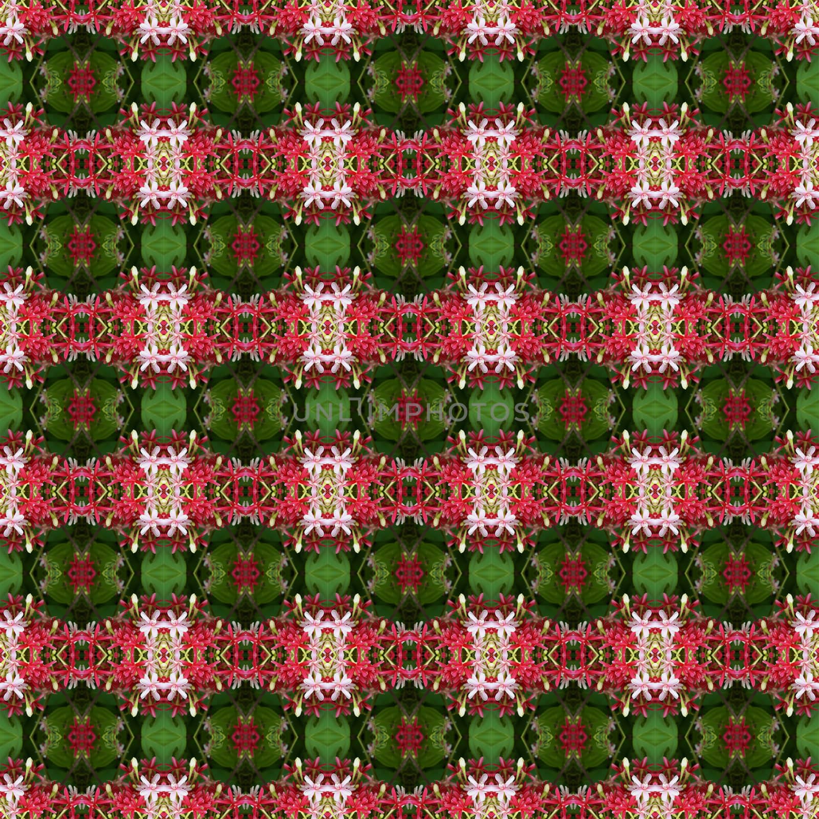 Pink bouquet of Quisqualis Indica flower is ivy flower seamless use as pattern and wallpaper.