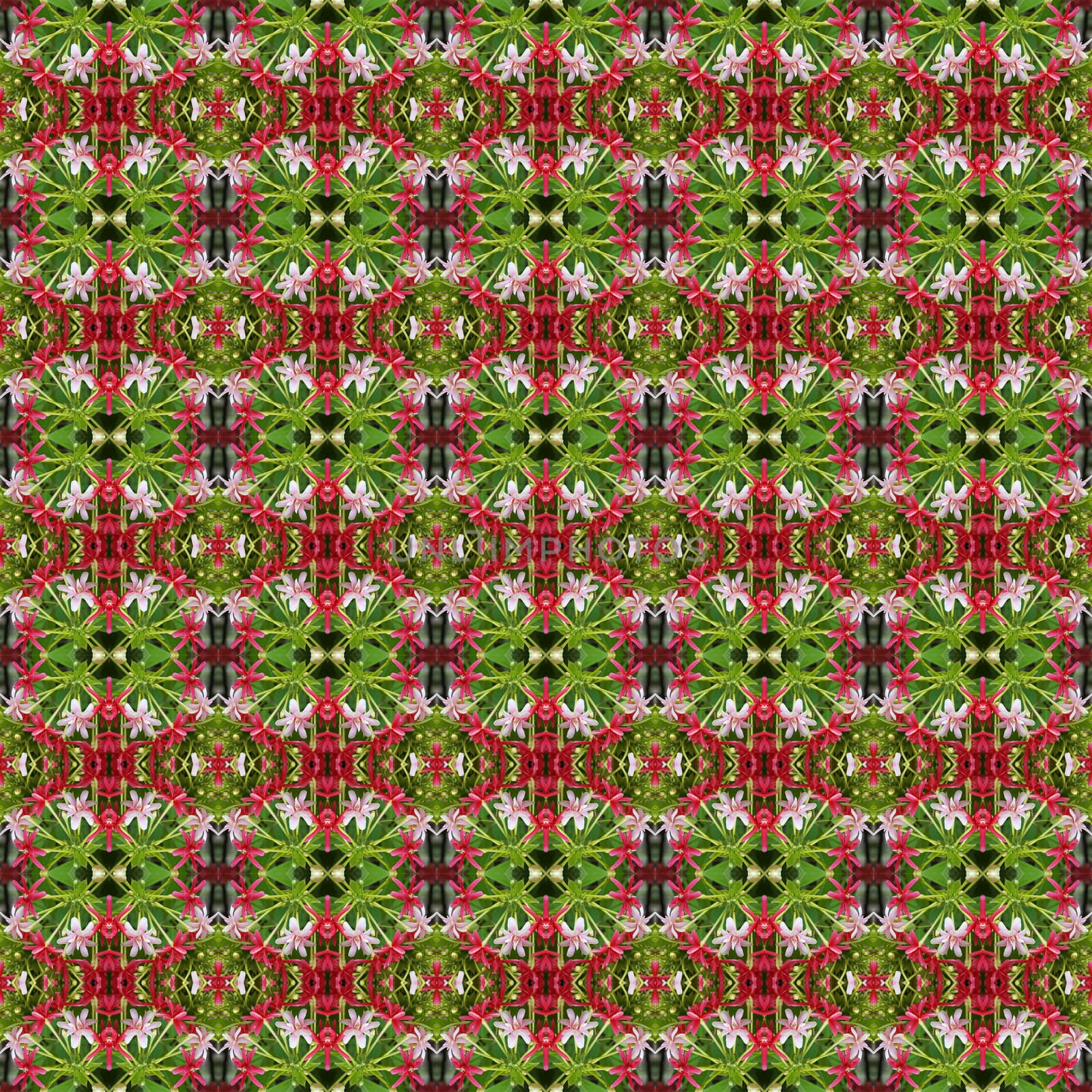 Pink Bouquet of Quisqualis Indica flower is ivy flower seamless use as pattern and wallpaper.