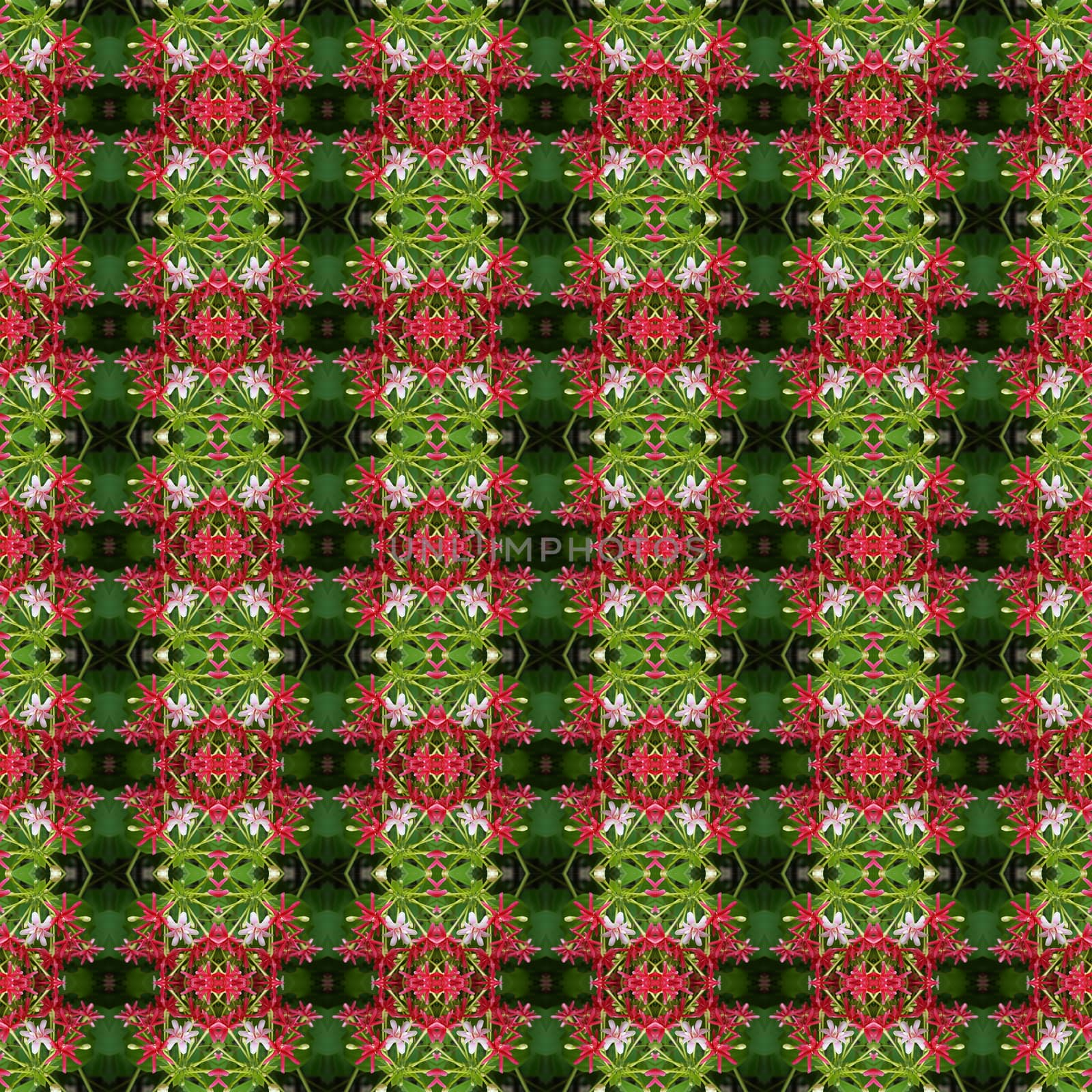 Pink bouquet of Quisqualis Indica flower is ivy flower seamless use as pattern and wallpaper.
