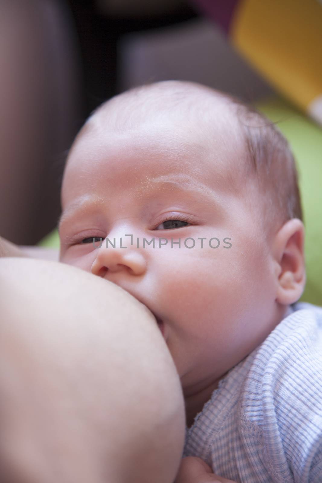 one month age tender lovely newborn baby open eyes blue shirt breastfeeding nursing mother breast