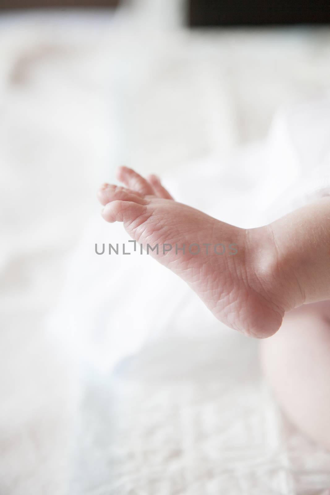 closeup fingers foot of twelve days age baby over white bedcover
