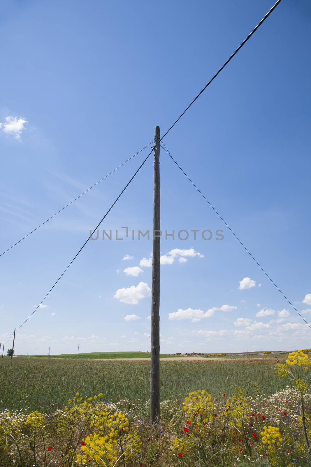 ancient telephone line cable pole in landscape field Castilla Spain