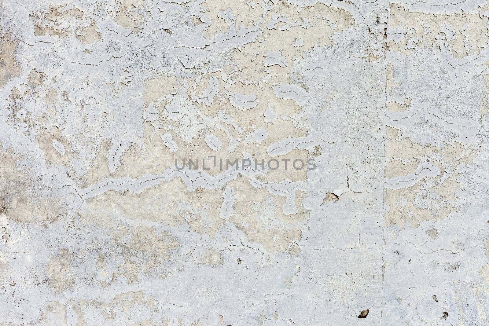 Grunge white background cement old texture wall