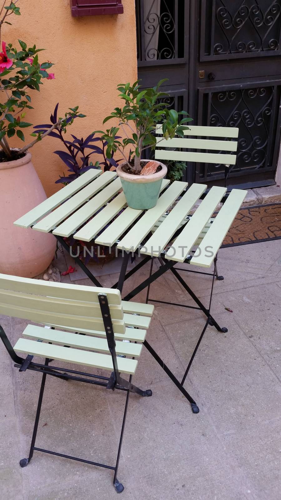 Garden chair and table with tree in pot
