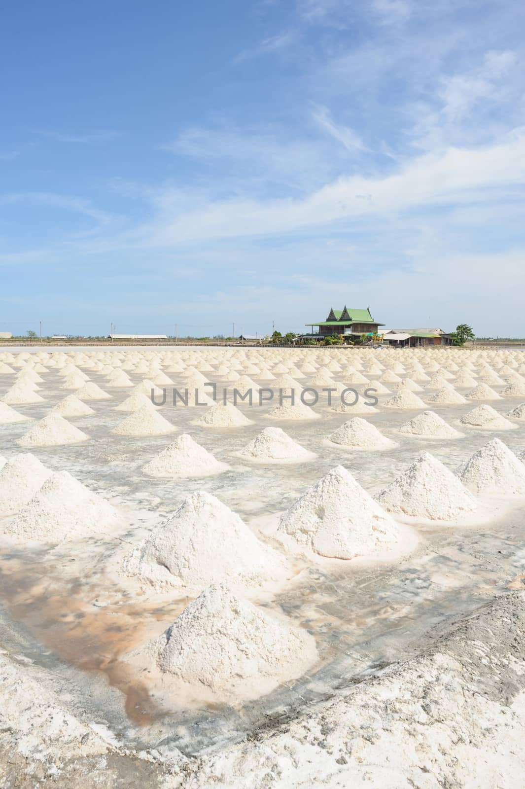 Salt fields in sunny day on SAMUTSAKORN, THAILAND.