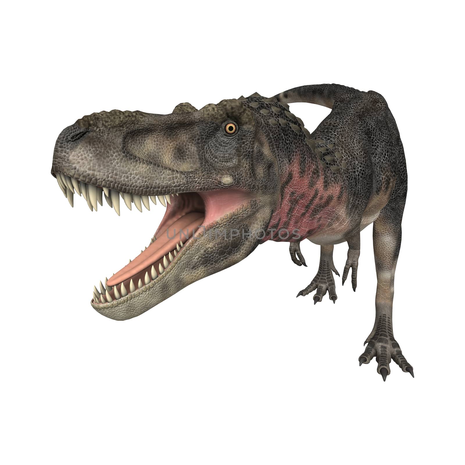 3D digital render of a dinosaur tarbosaurus isolated on white background