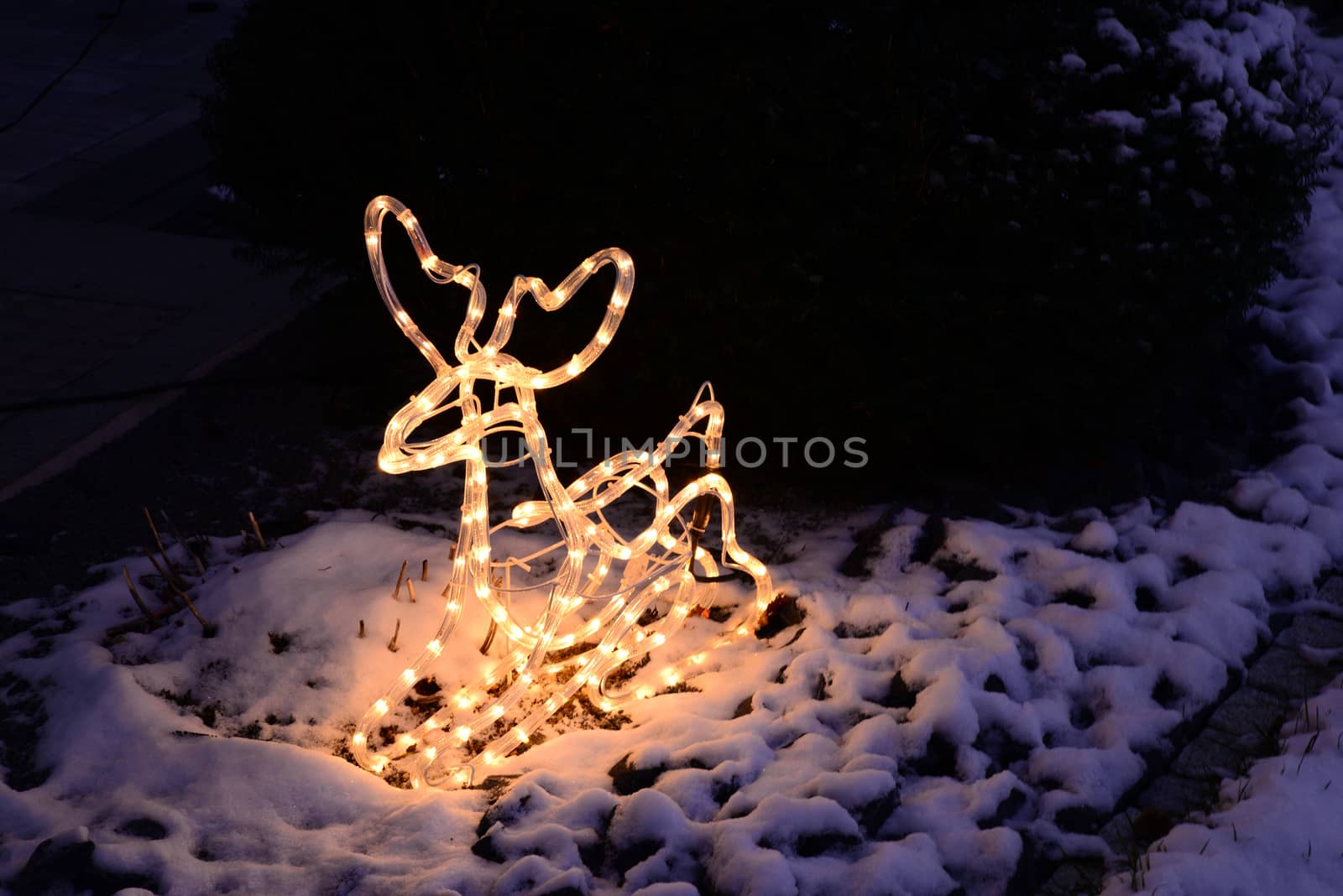 Photo of a lighted Christmas reindeer. Taken in Germany.