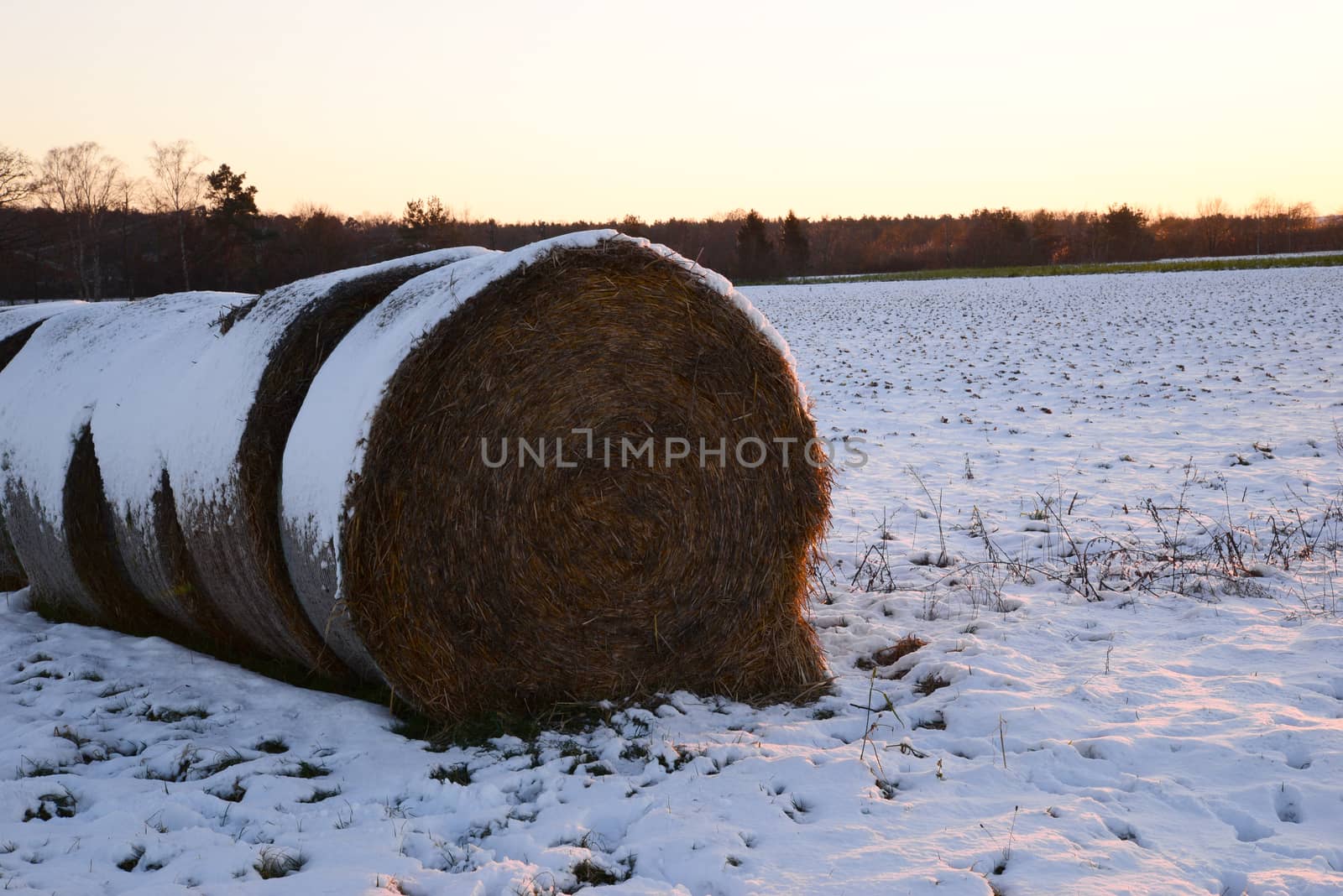 Hay stack in winter by dk_photos