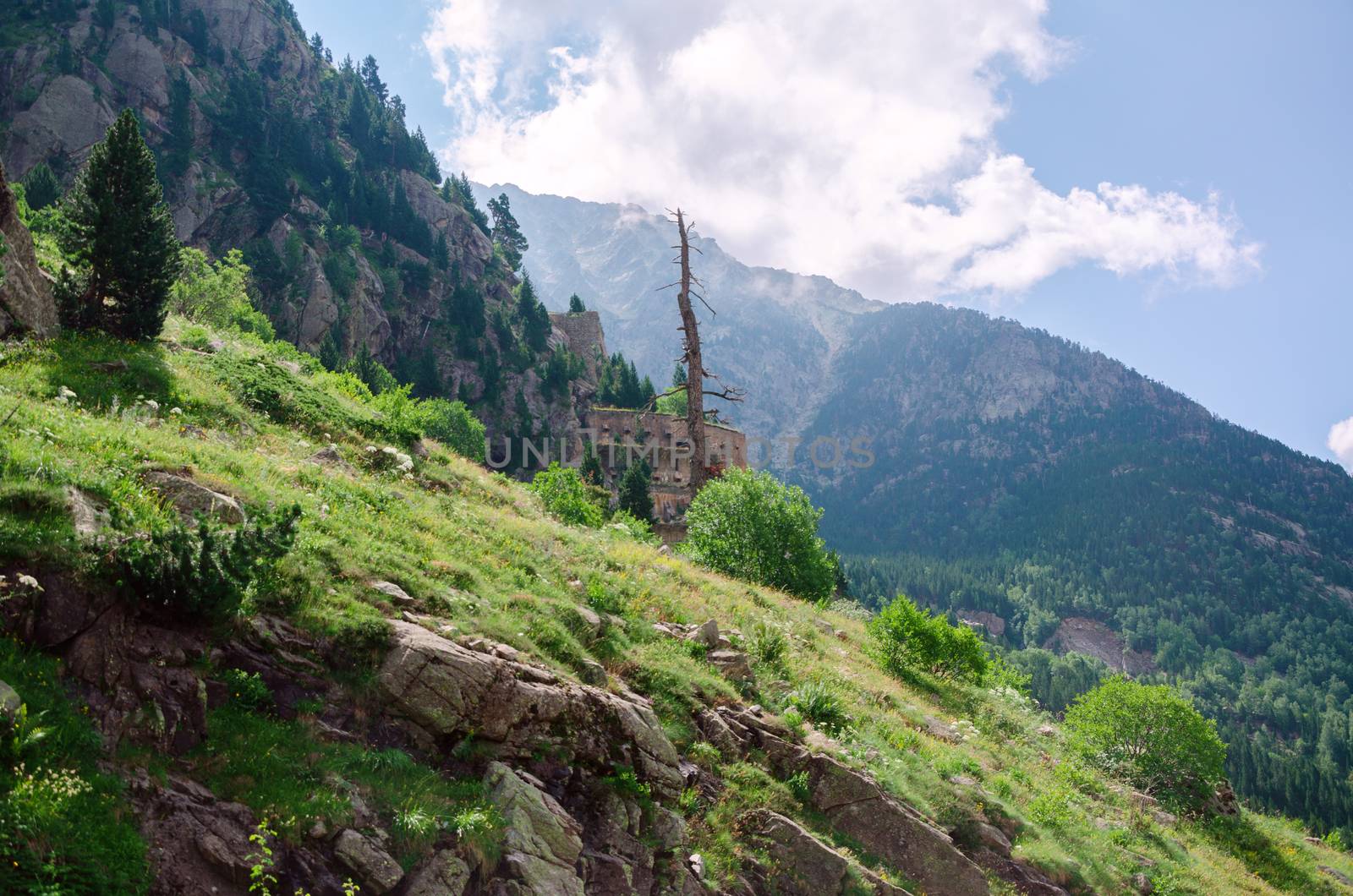 A picture at the Pyrenees mountians in Spain