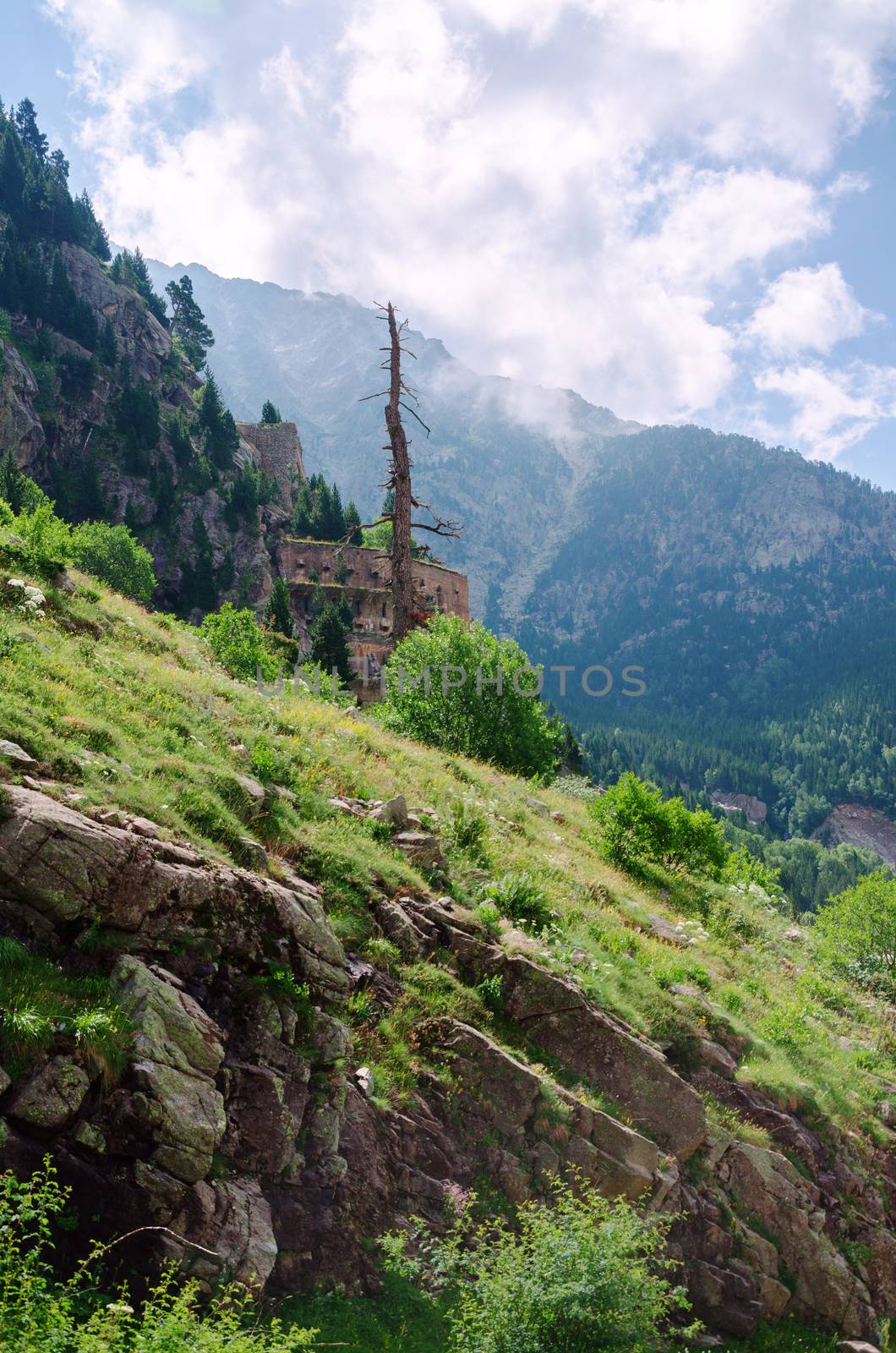 A picture at the Pyrenees mountians in Spain