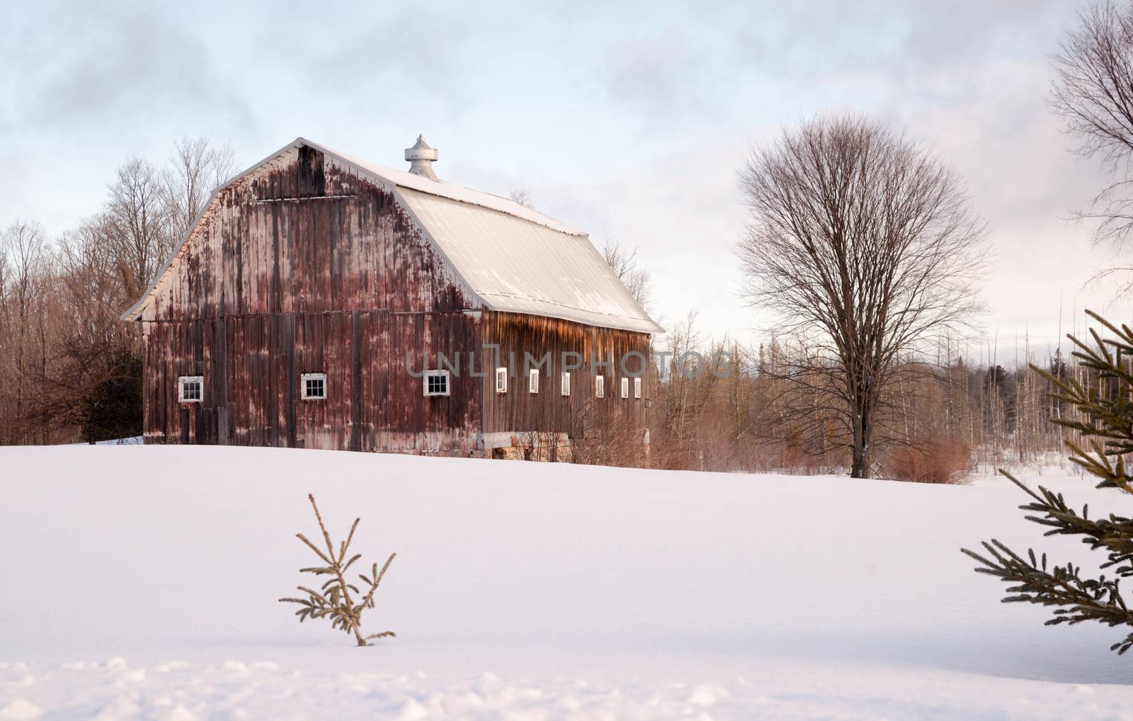 Wintertime Farm Field Barn Agricultural Structure Ranch Building by ChrisBoswell