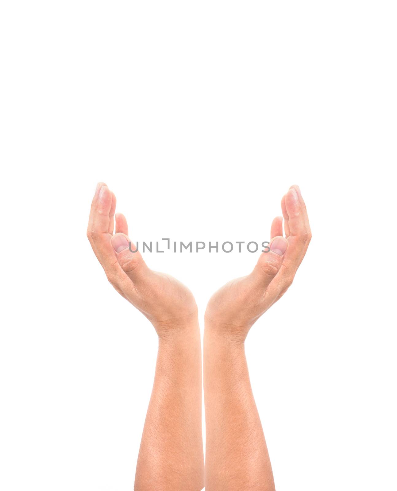 hand gesture concept isolated on white background