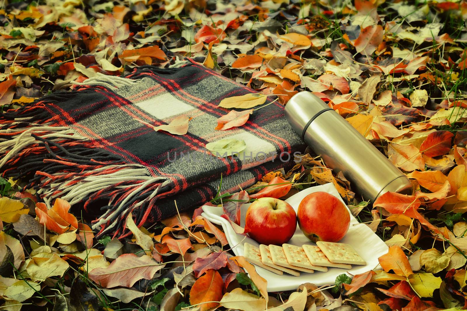 In the woods on the grass, covered with fallen leaves, lies a cozy blanket for relaxing and Breakfast: a thermos of coffee, cookies, apples.