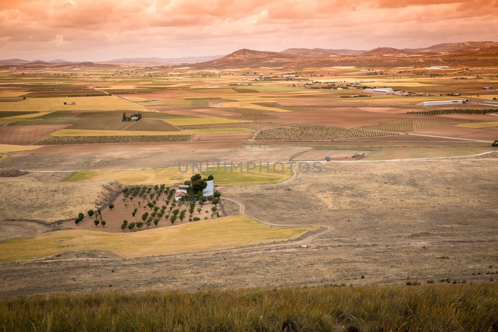 Rural landscape around Consuegra, Castile-La Mancha, Spain