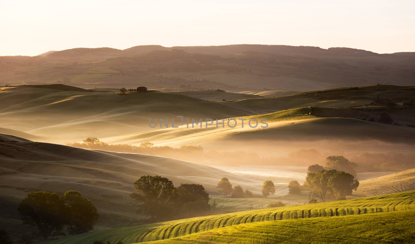 Dawn in Tuscany, Val d'Orcia, Italy