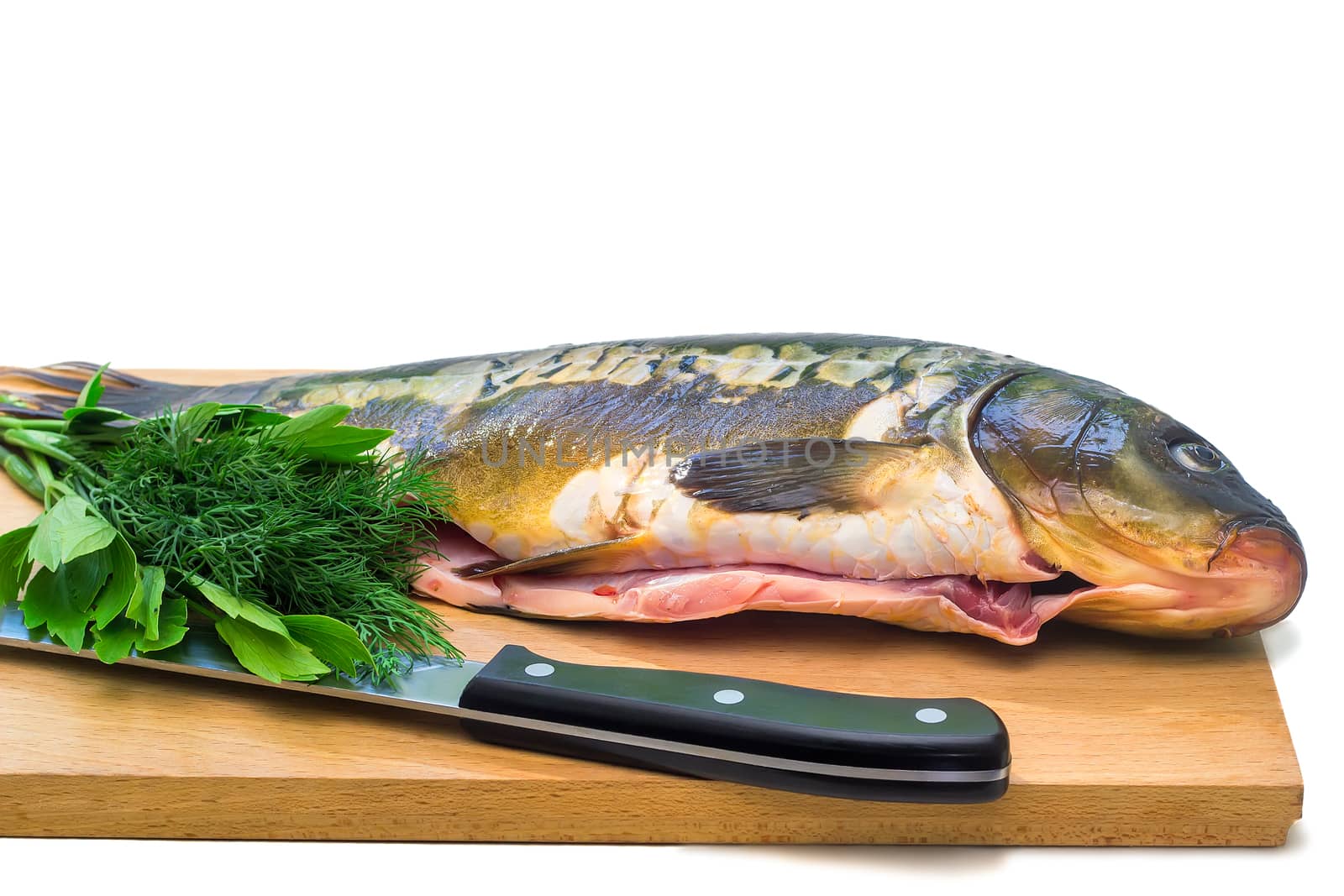 Fish and components for her preparation on a white background. by georgina198