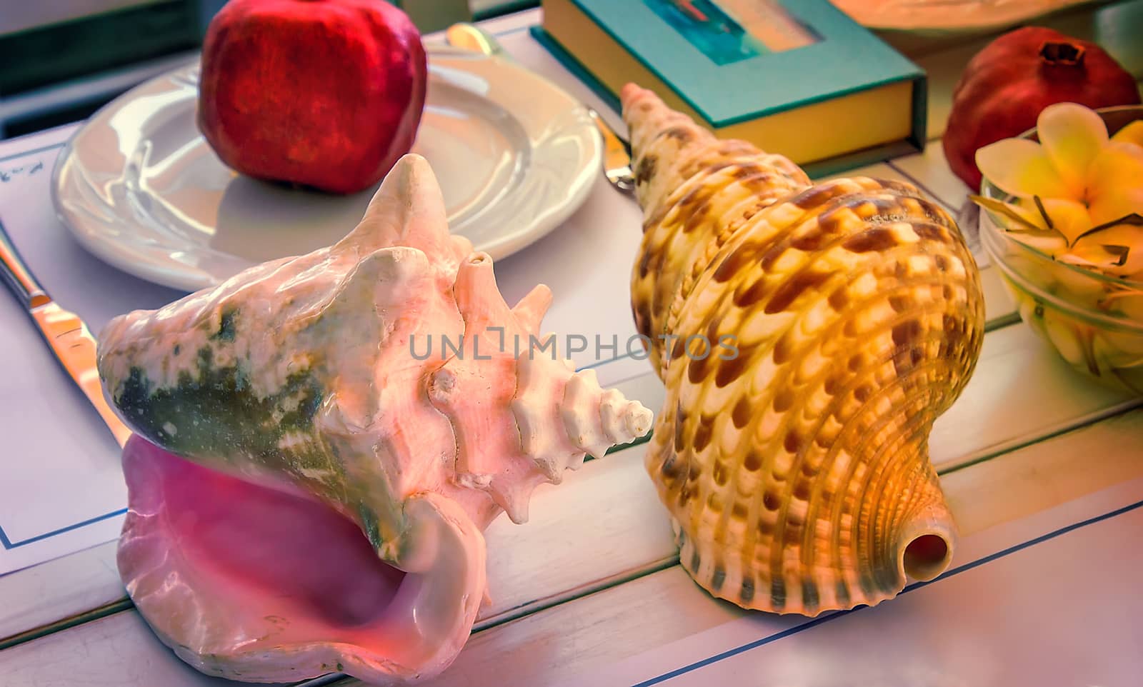 Still life: on the table are two large beautiful sea shell and also, a book, fruit , flowers.