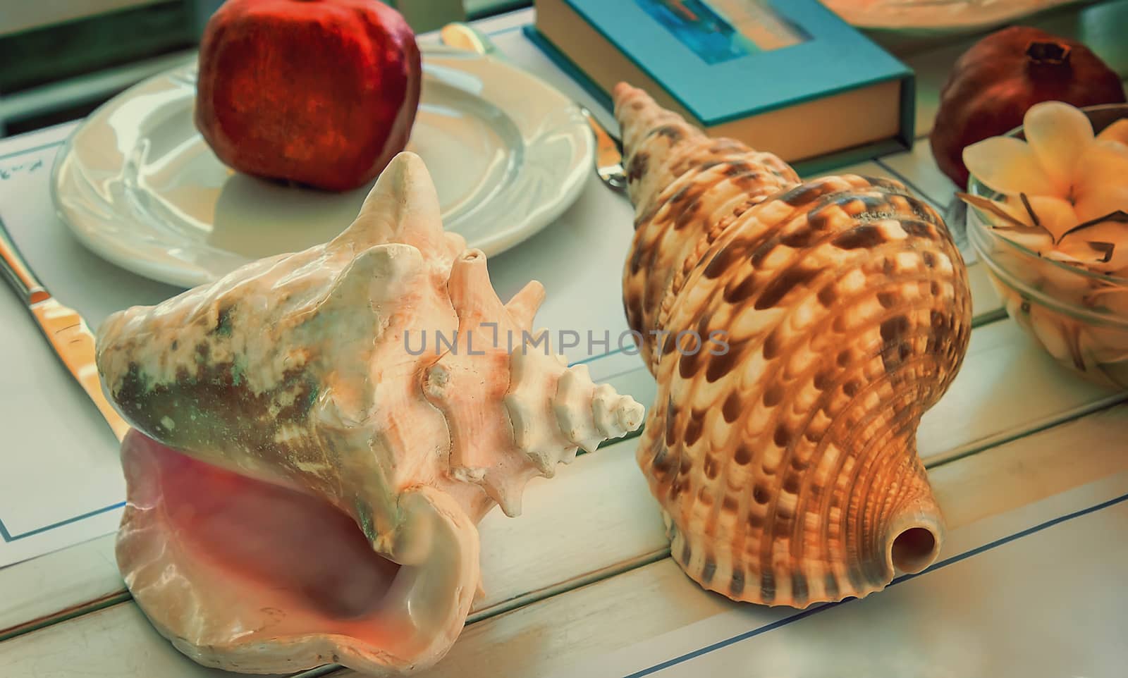 Still life: on the table are two large beautiful sea shell and also, a book, fruit , flowers.