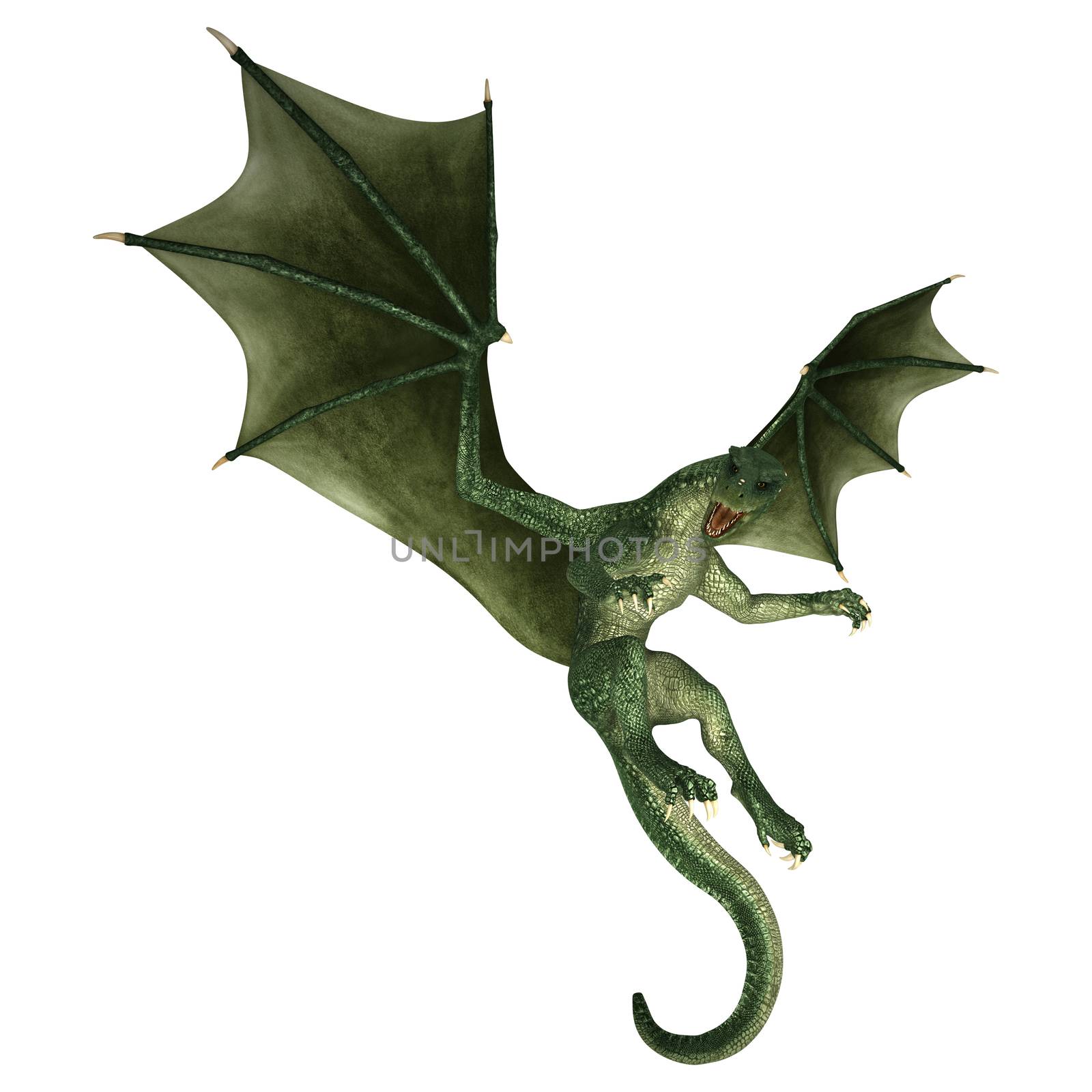 3D digital render of a green fantasy dragon flying isolated on white background