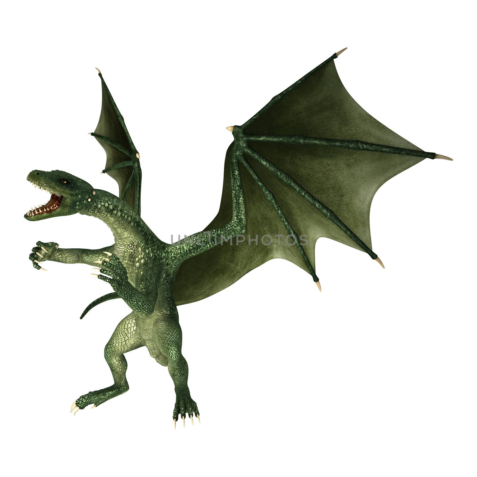 3D digital render of a green fantasy dragon isolated on white background