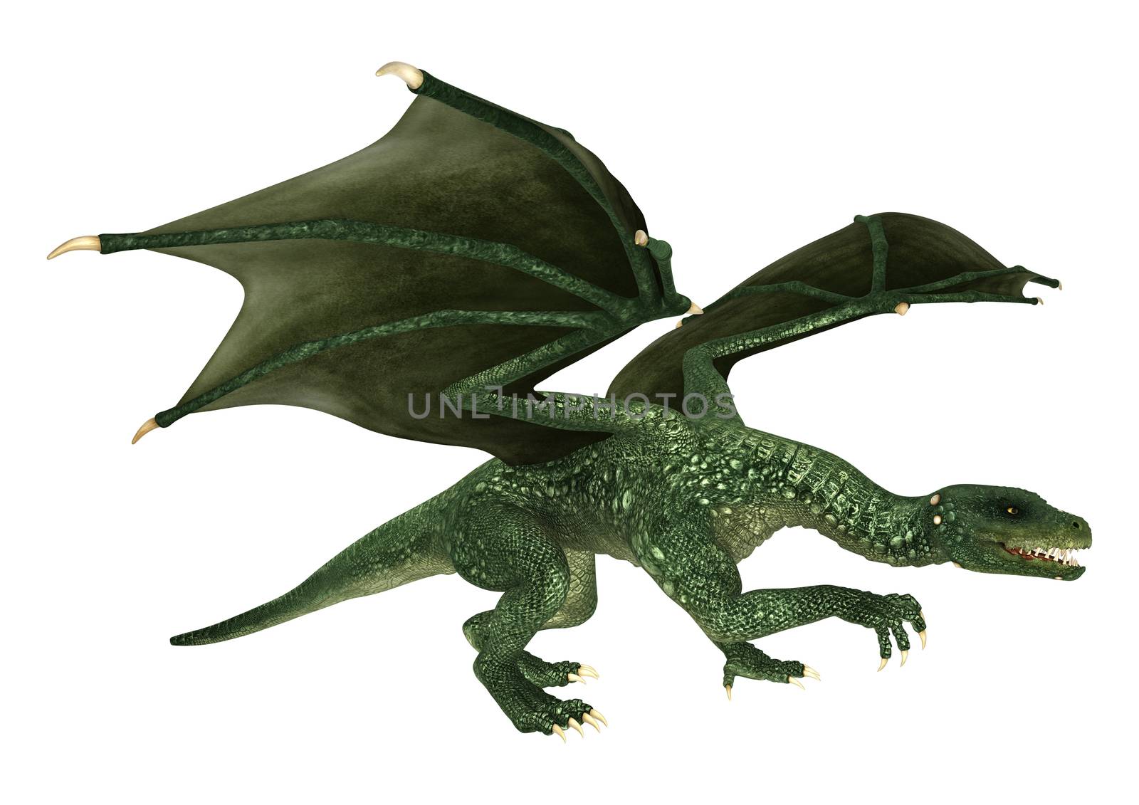 3D digital render of a green fantasy dragon isolated on white background