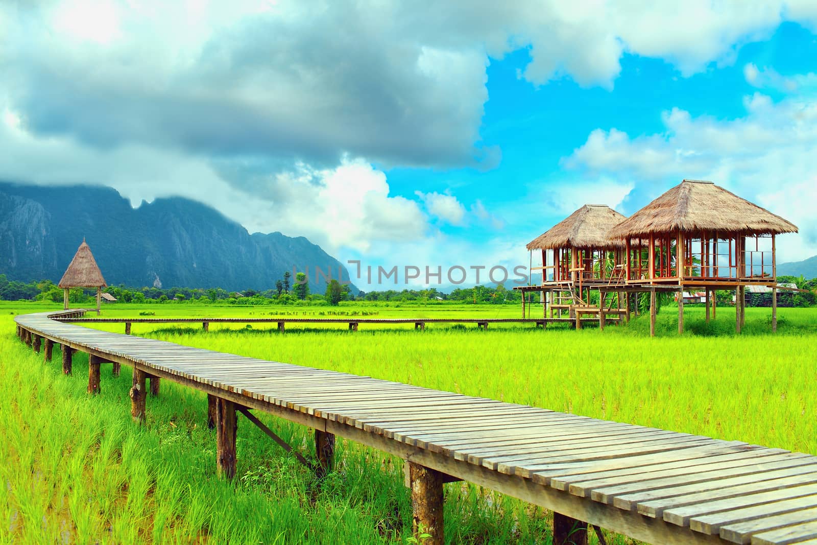 Cottage in the middle of rice fields at Vang Vieng, Loas by SceneNature