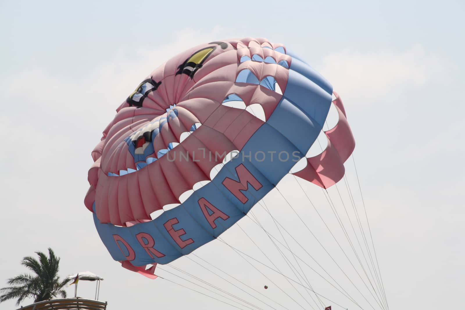 Happy man flying parasailing by alexx60