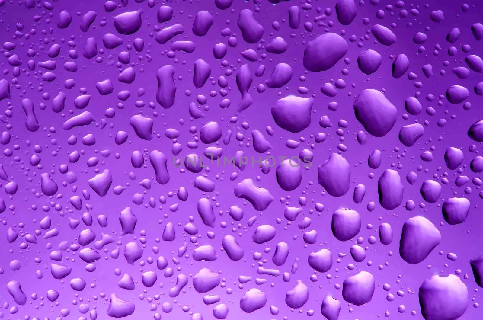 Purple pattern by richpav