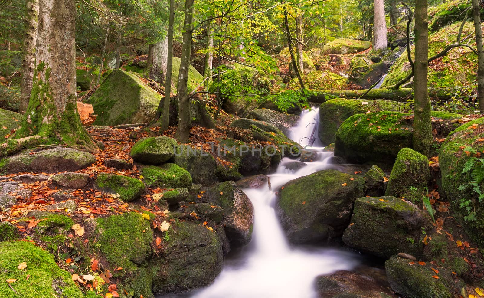 Gertelsbacher Waterfalls in autumn, Black Forest, Germany by fisfra
