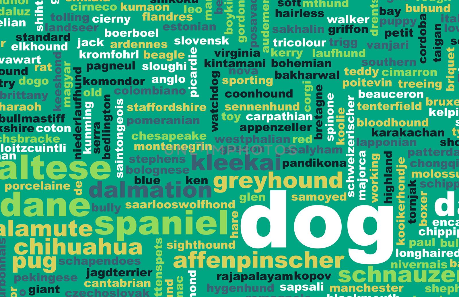 All Types of Dogs and Every Breed as Concept