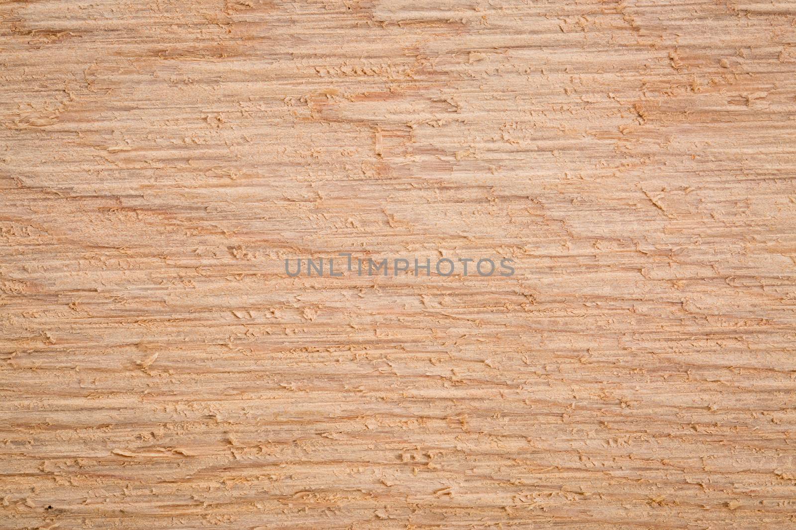 cedar wood plank textured background - macro shot