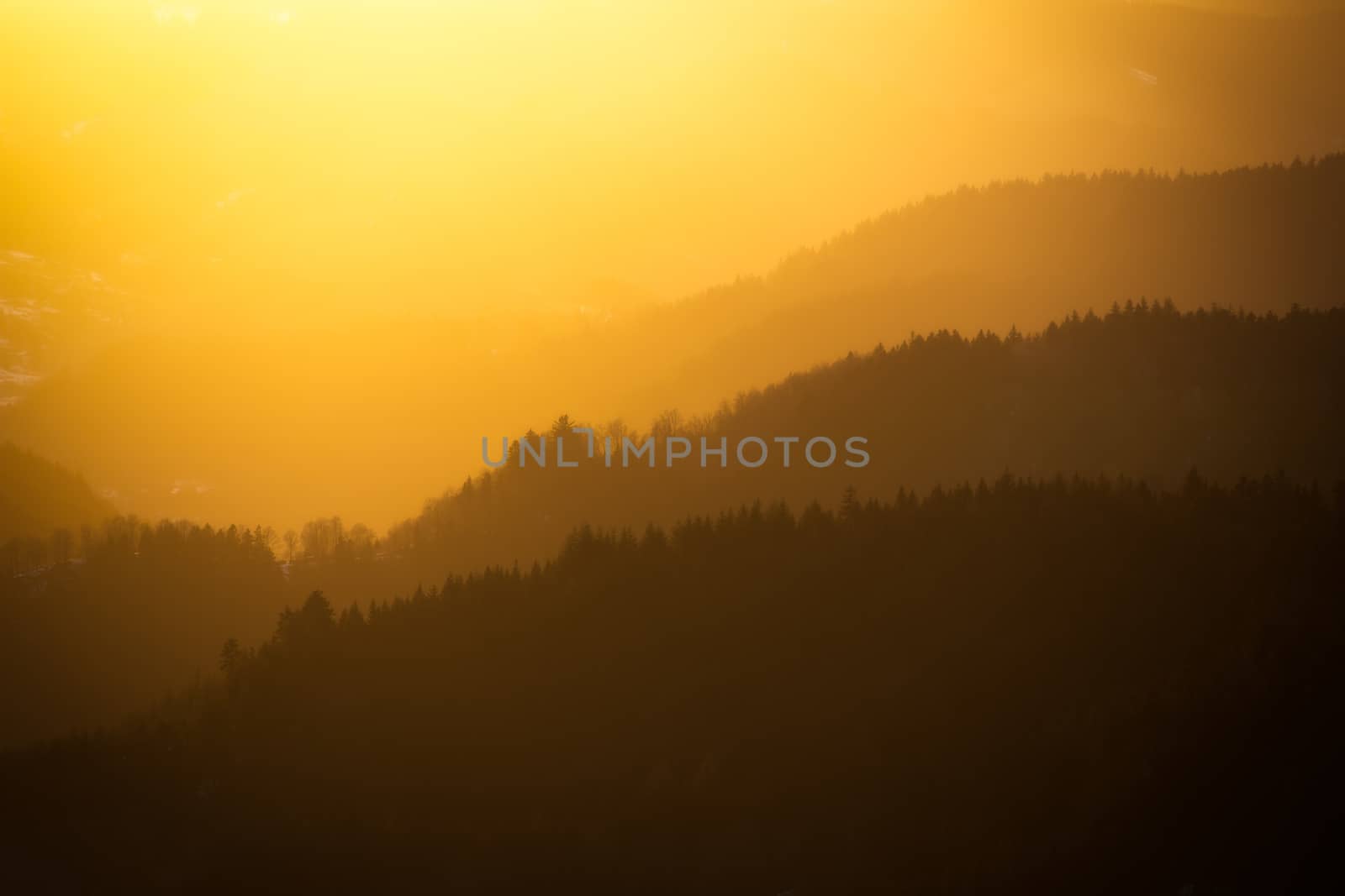 Vibrant sunset in Black Forest, Germany