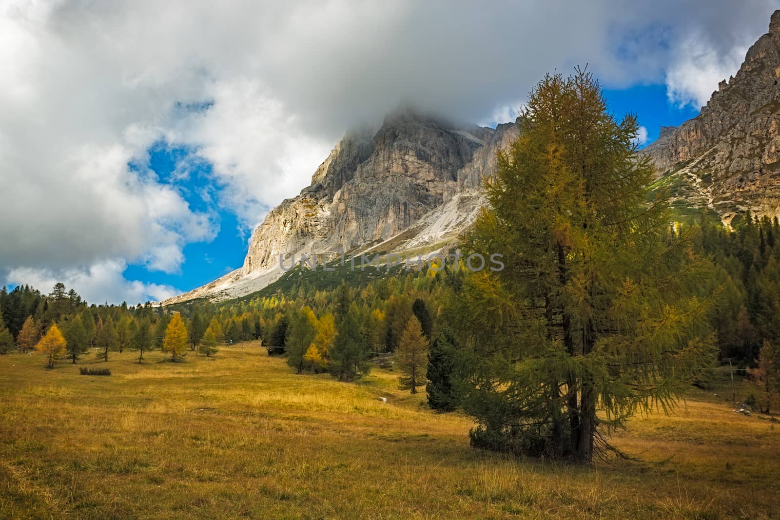 Landscape in autumn at Passo Falzarego, Dolomites, Italian Alps by fisfra