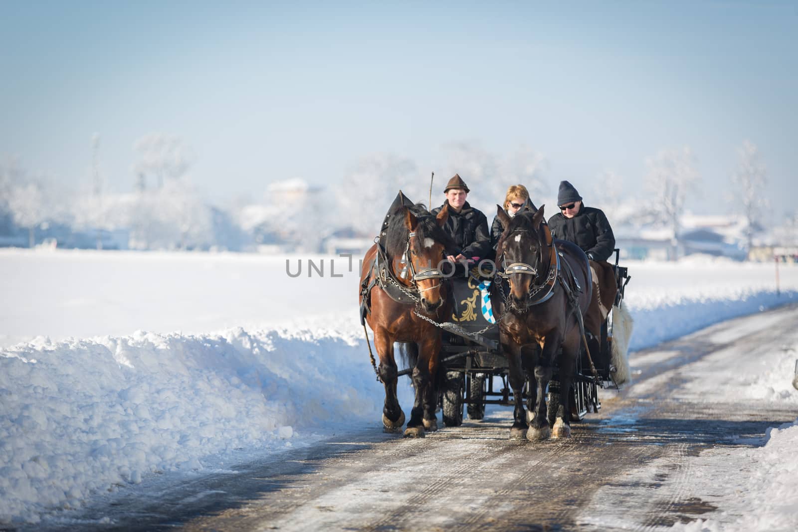 HOHENSCHWANGAU, GERMANY  JANUARY 01, 2015 - Tourists in carriage by fisfra