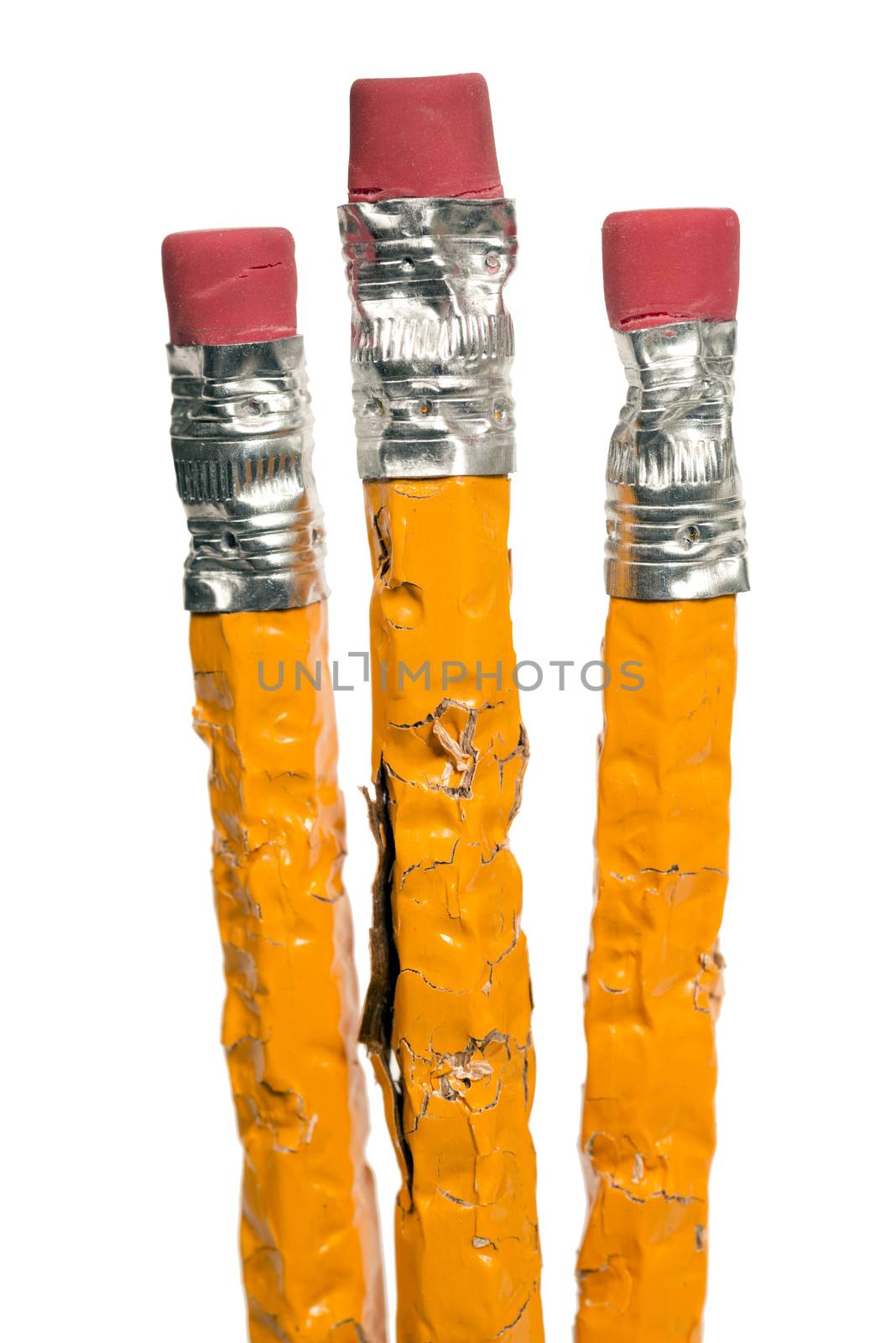 Group of Chewed Pencils Close up Shot Vertical Isolated On a White Background