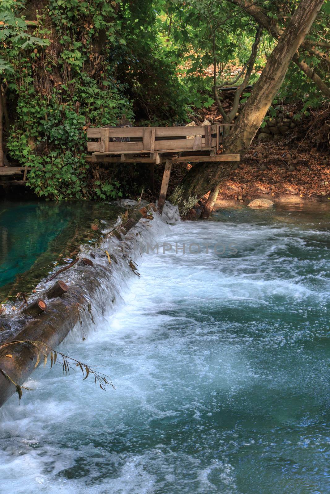 Small lake flowing like waterfall among big jungle trees in Yuvarlak Cay in Mugla.