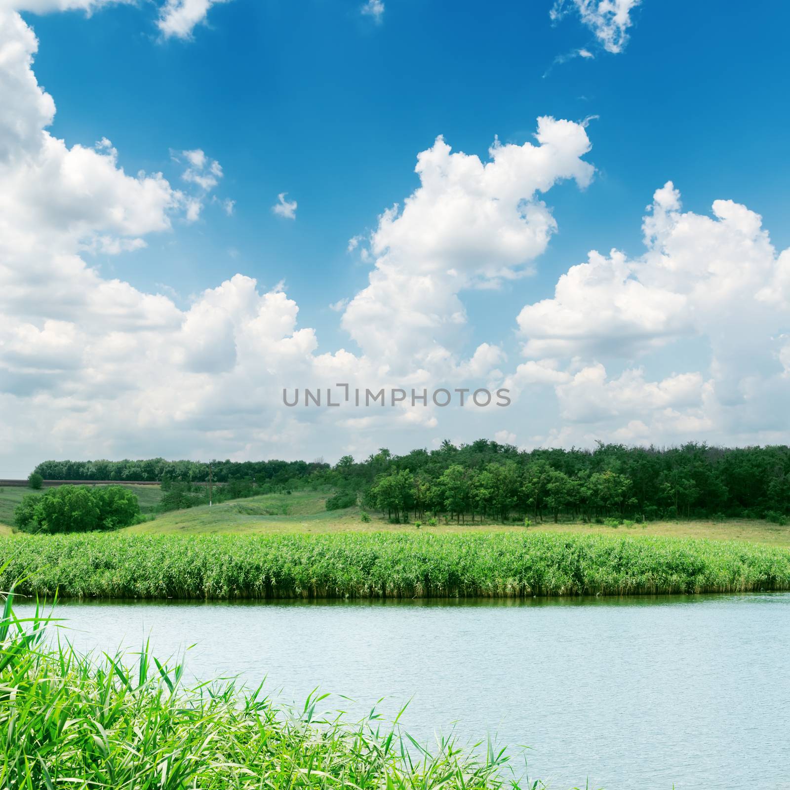 white clouds in blue sky over river by mycola