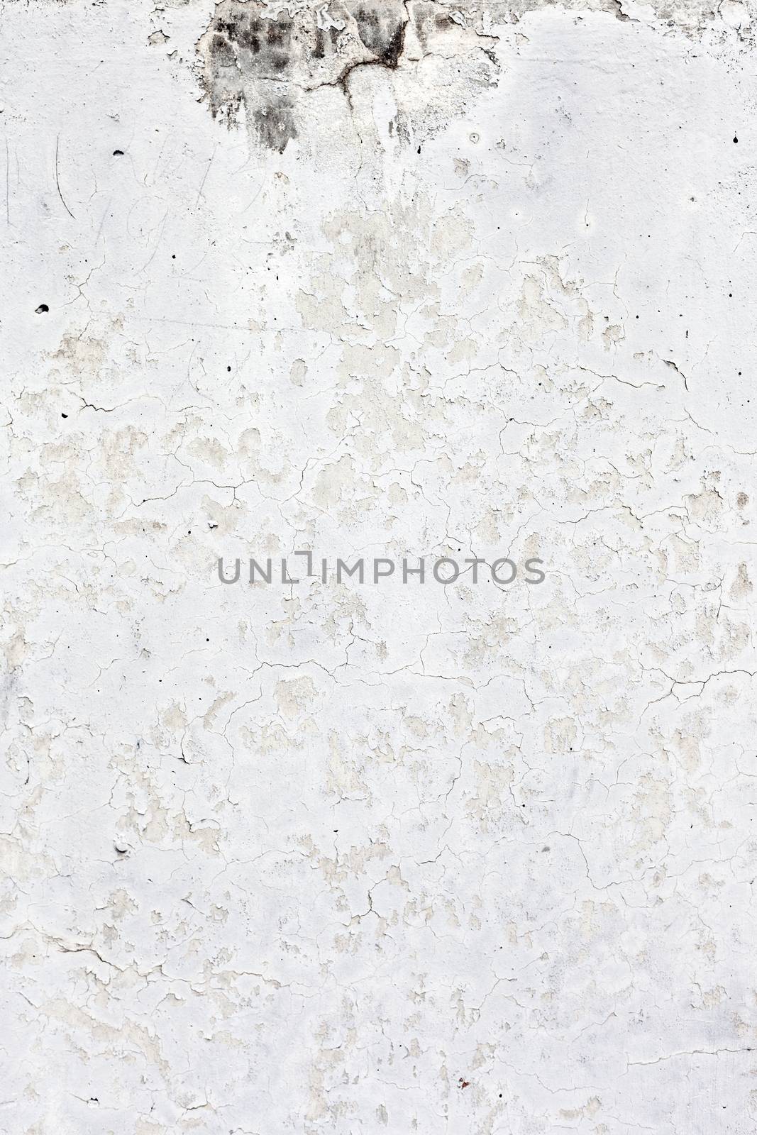 Grunge white background cement old texture wall