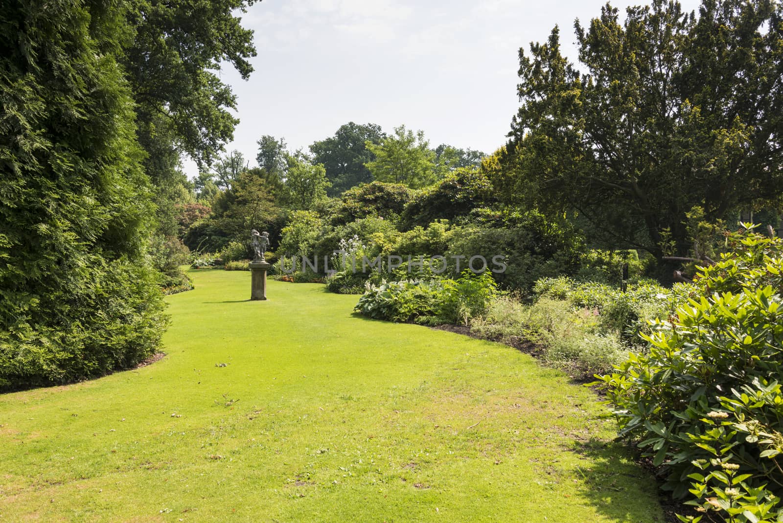 english border green grass garden with trees and plants