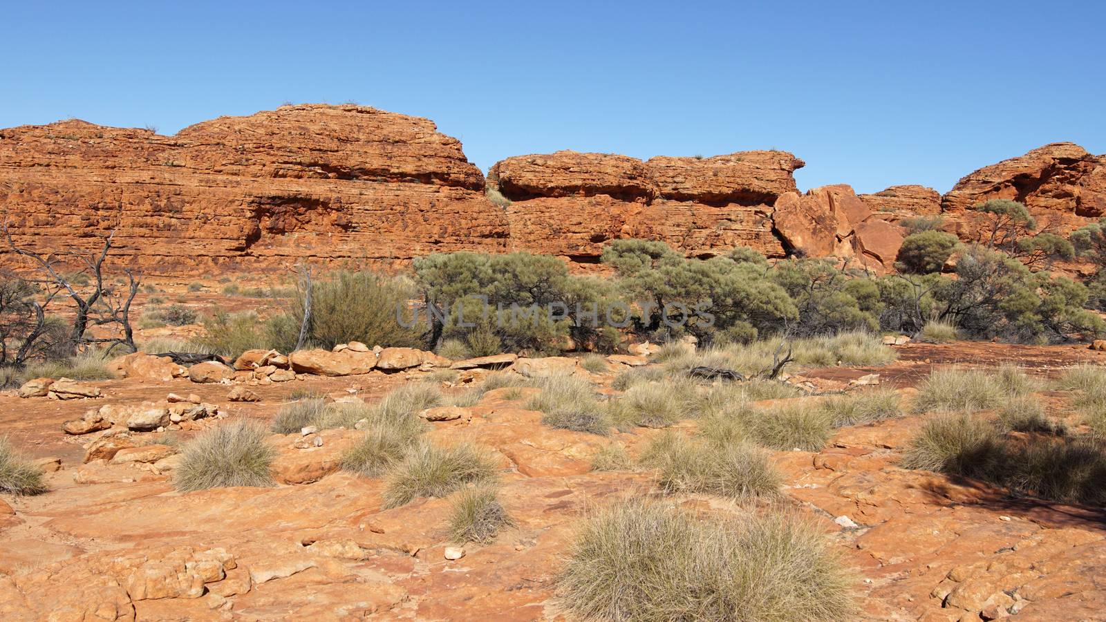 Landscape of the Kings Canyon, Outback of Australia