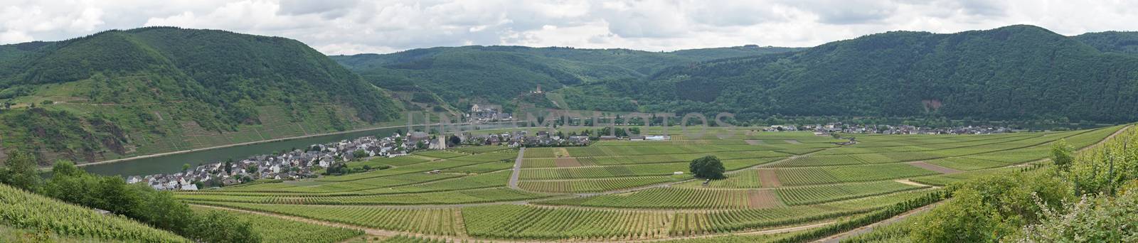 Moselle valley close to Beilstein, Germany, Europe