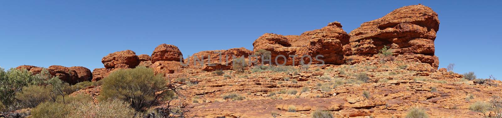 Landscape of the Kings Canyon, Outback of Australia