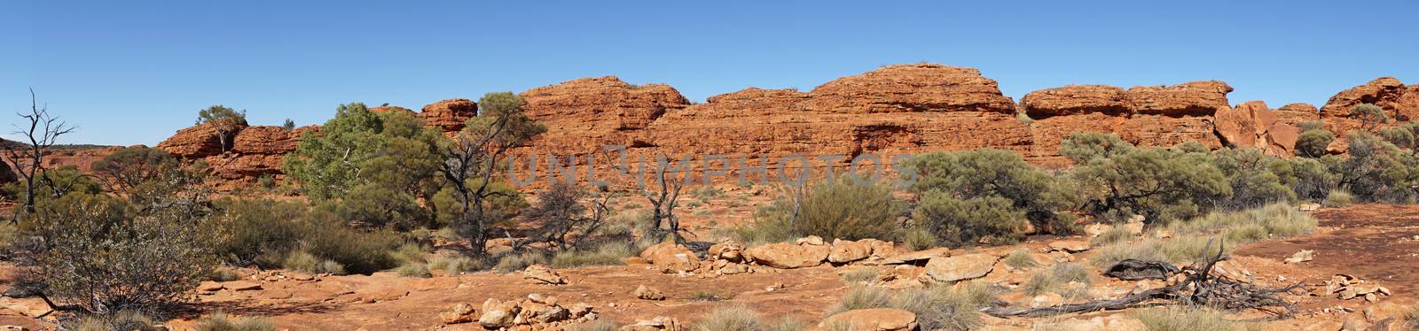 Landscape of the Kings Canyon, Outback of Australia