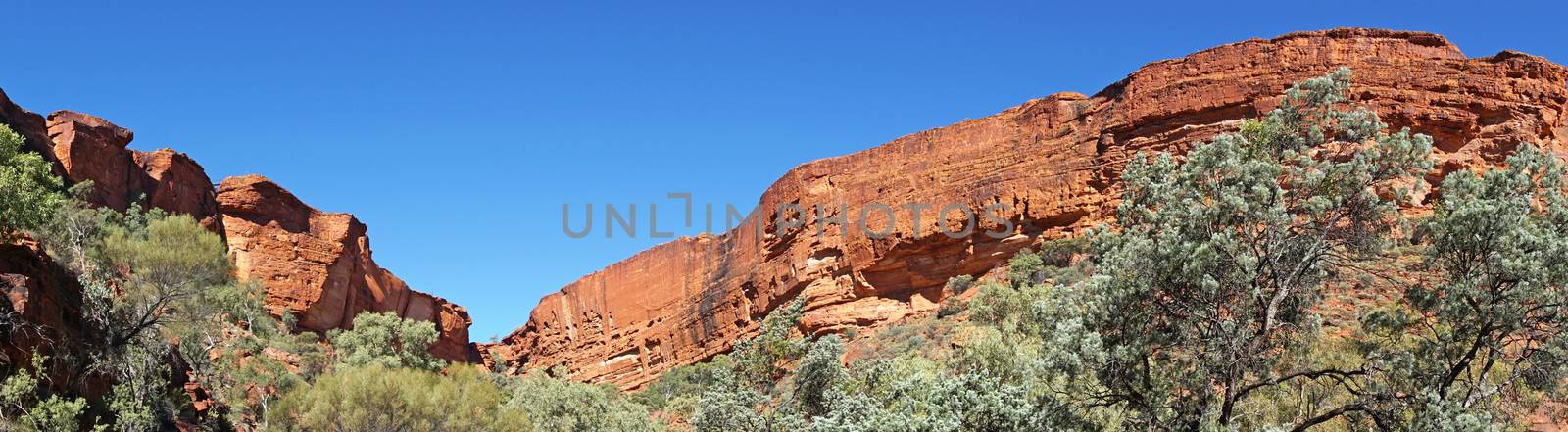 Landscape of the Kings Canyon, Outback of Australia