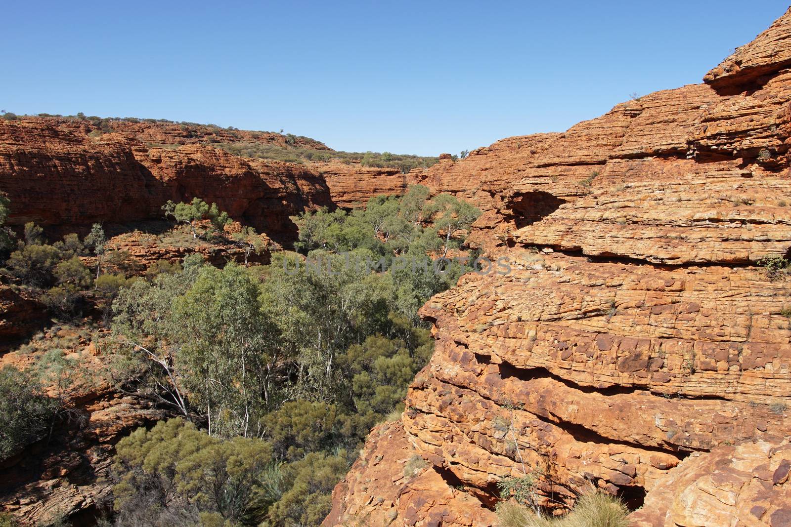 Landscape of the Kings Canyon, Outback of Australia