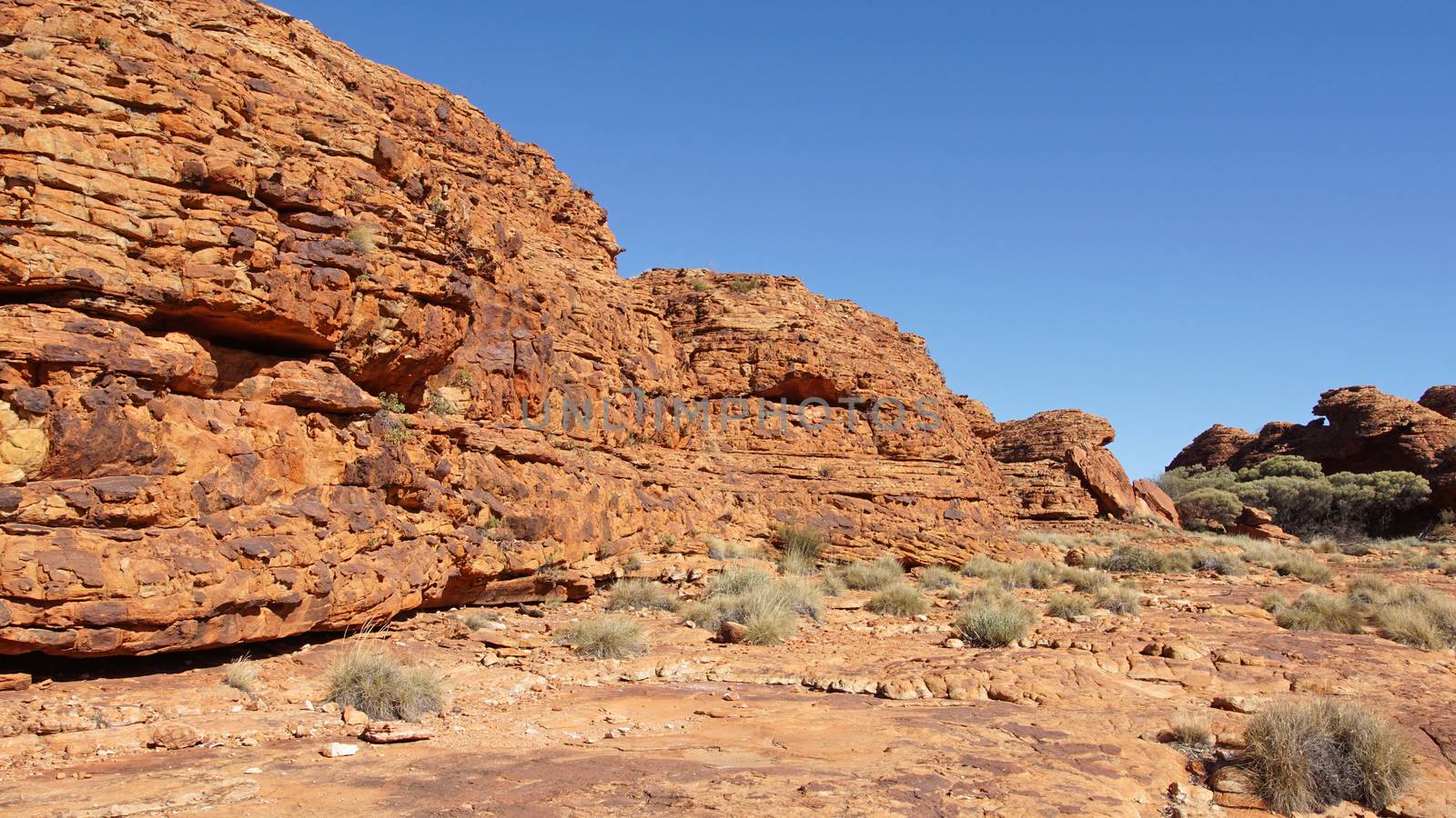 Landscape of the Kings Canyon, Outback of Australia