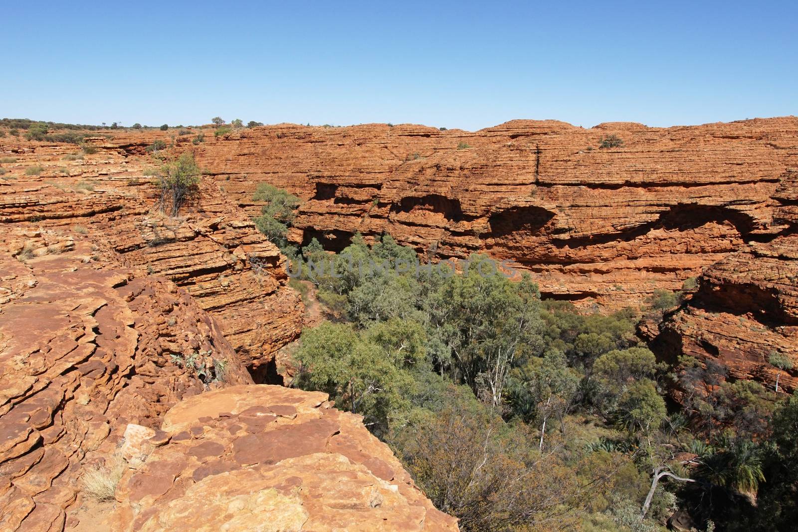 Landscape of the Kings Canyon, Outback of Australia