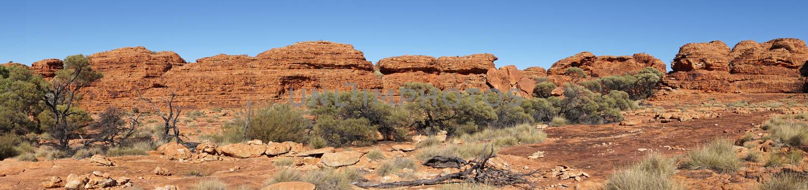 Landscape of the Kings Canyon, Outback of Australia