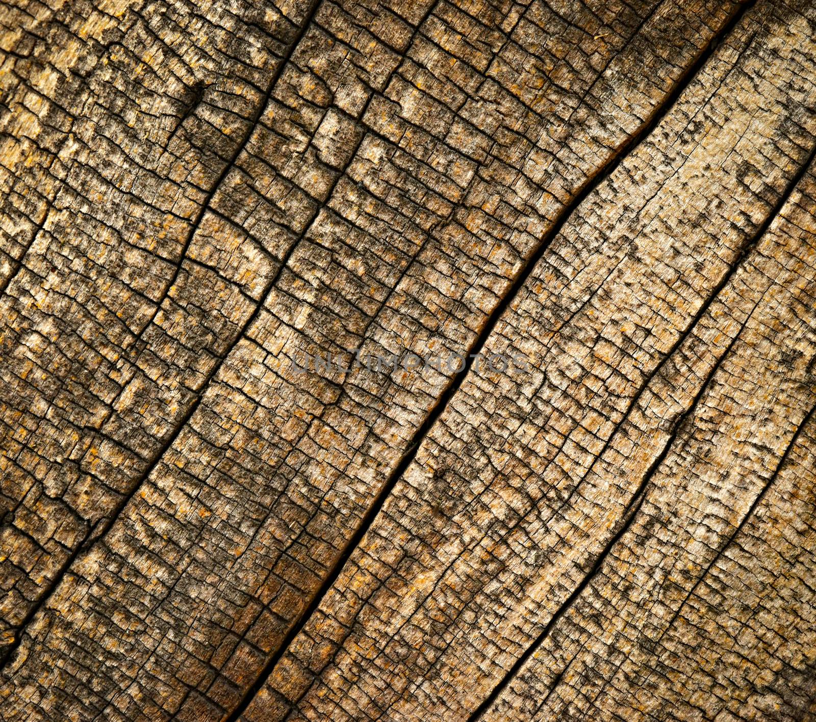 abstract background or texture old rotten wood